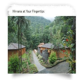 Blue Ginger Wayanad Resorts Kültér fotó